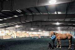Steel Factory Mfg 100x100x20 Prefab Riding Arena Commercial Building MADE IN USA