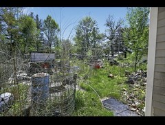 Single-Story Ranch Modular Home 1 Bed 1 Bath 800 sq ft Wood 40x20x10