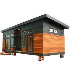 Brown 40 Ft 2 Bedroom Tiny Home