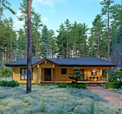 1730 sq.ft LOG HOUSE KIT LH-161 ECO FRIENDLY WOOD PREFAB DIY BUILDING CABIN HOME