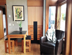 Brown 40 Ft 2 Bedroom Tiny Home