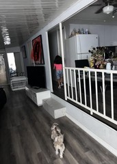 Mobile Home 1962 2/1 for Sale In Davie Florida