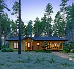 1730 sq.ft LOG HOUSE KIT LH-161 ECO FRIENDLY WOOD PREFAB DIY BUILDING CABIN HOME