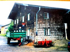 200 YEAR OLD AUSTRIAN LOG CABIN (comes with sea container)