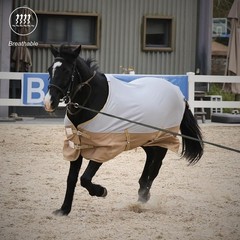 BARN & STABLE Breathable and UV Protective Tear-Resistant Mesh Fly Sheet 72 in