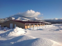 CUSTOM PREFAB KENNEL BUILDINGKITS WITH 2 DOG RUNS 30 x 100 x 10 / 2 dog runs