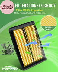 Cabin & Engine Air Filter Fit for Nissan Rogue 2.5L (2014-20), Rogue 2.0L Hybrid