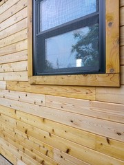 Brown 40 Ft 2 Bedroom Tiny Home