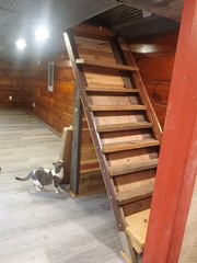 Finished 12×32 Portable Building Tiny House with full loft