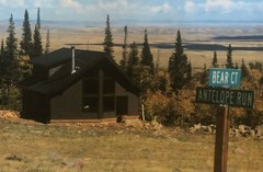The Tahoe CBI wood shell Kit Lumber batch. FREE Del. Continental USA!!