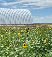 60×120 Quonset Hut – Factory DiRECT with Open Ends in 20 Gauge Steel